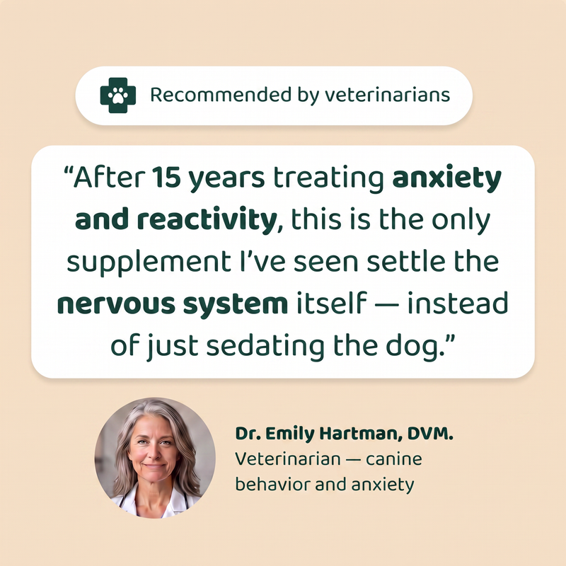 Veterinarian recommended calming chews for dogs