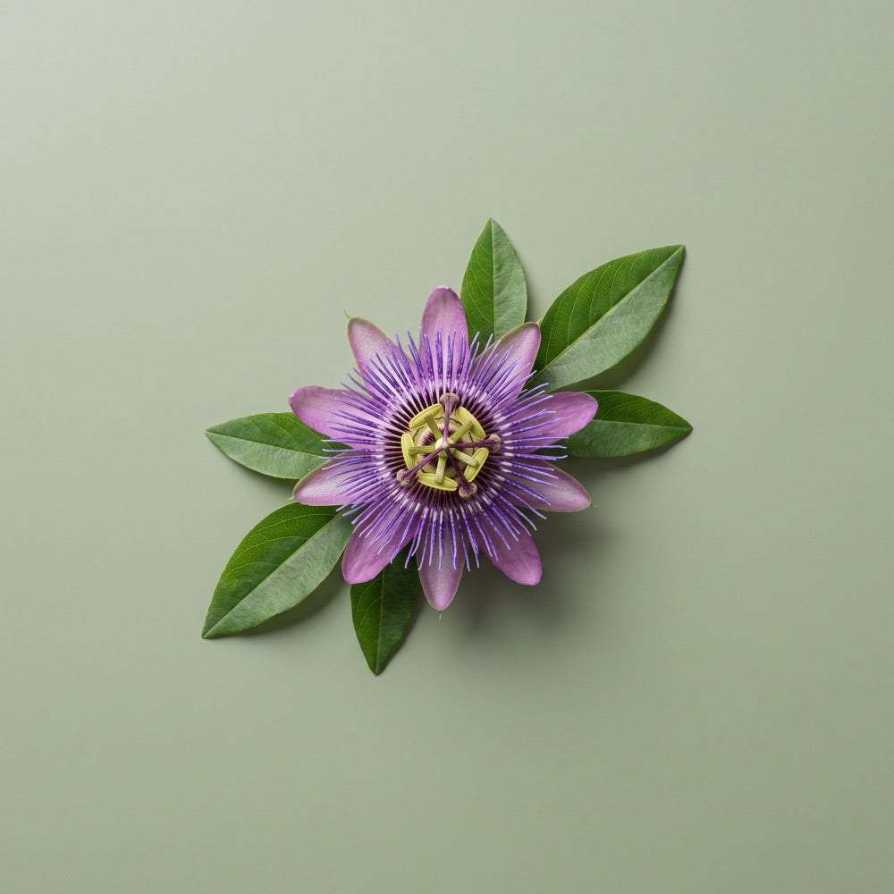 Passionflower & L-Theanine