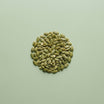 Pumpkin Seed & Ginger