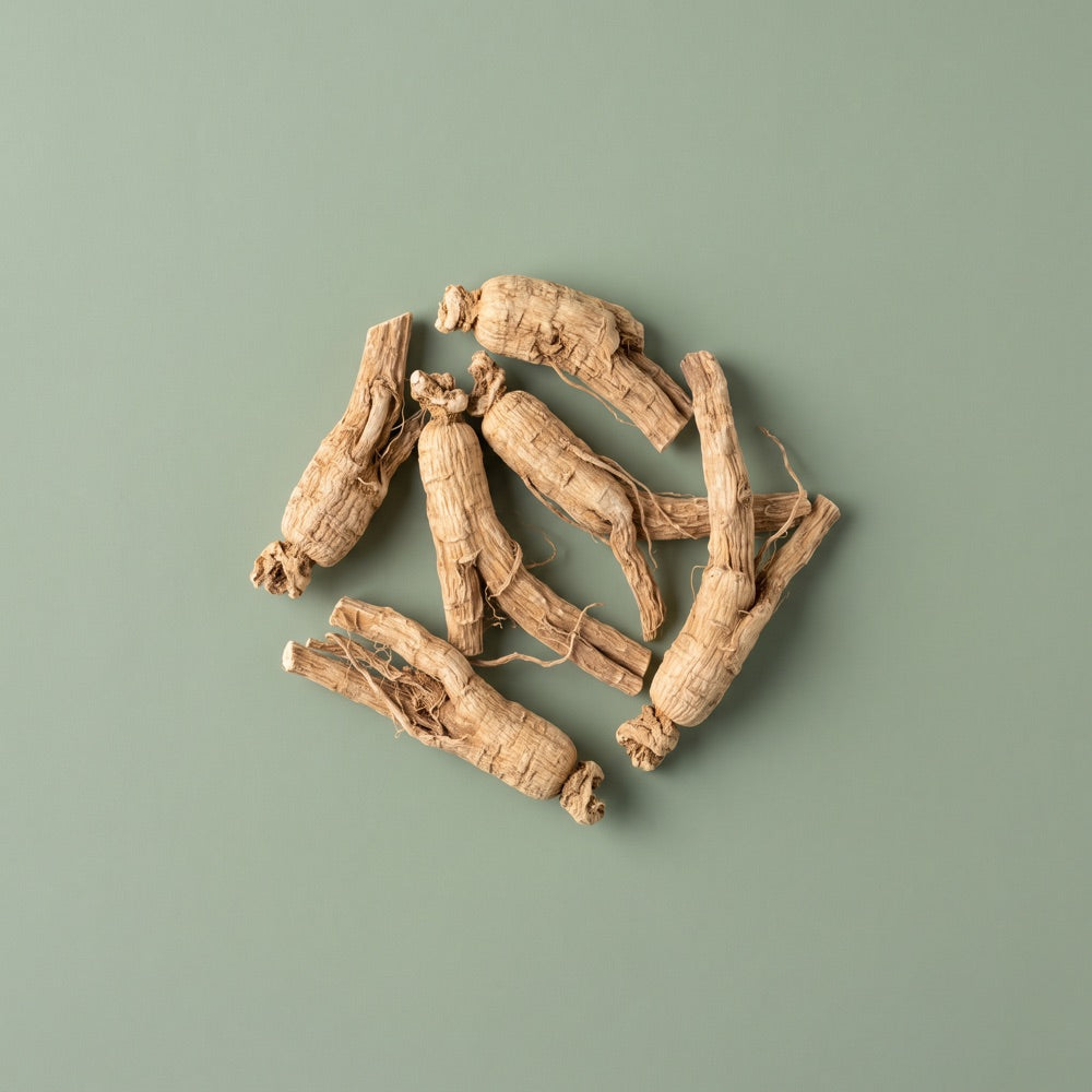 Siberian Ginseng