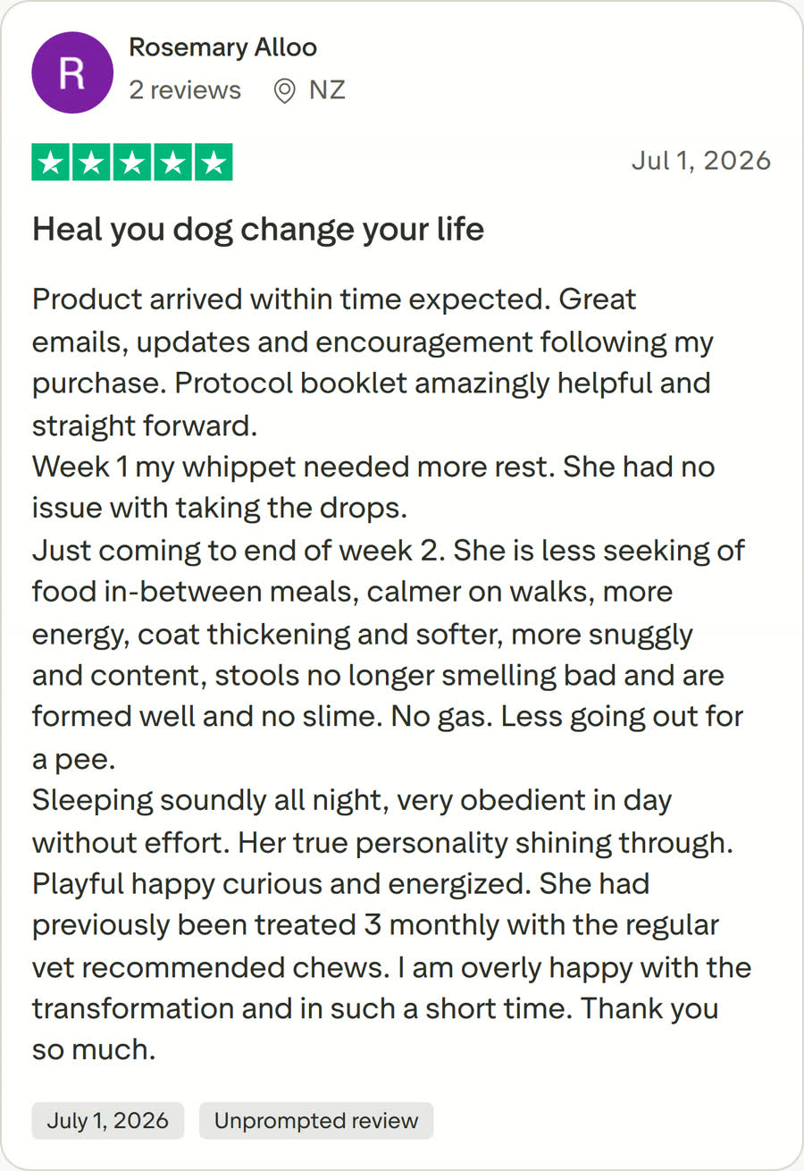 Trustpilot 5-star review by Rosemary Alloo (NZ): Heal you dog change your life
