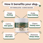 Allergy Support soft chews for dogs and cats — key benefits