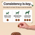 How to use Allergy Support chews — daily dosage by dog weight