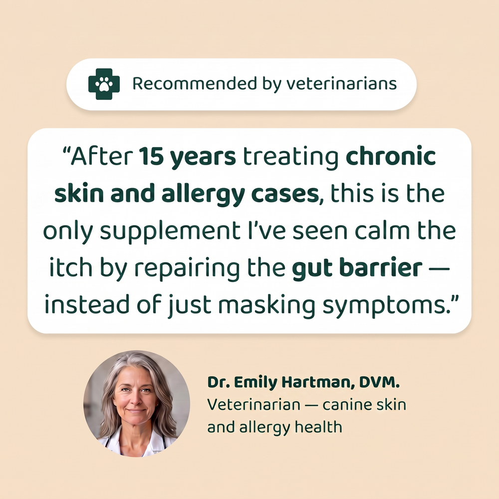 Veterinarian recommended allergy chews for dogs