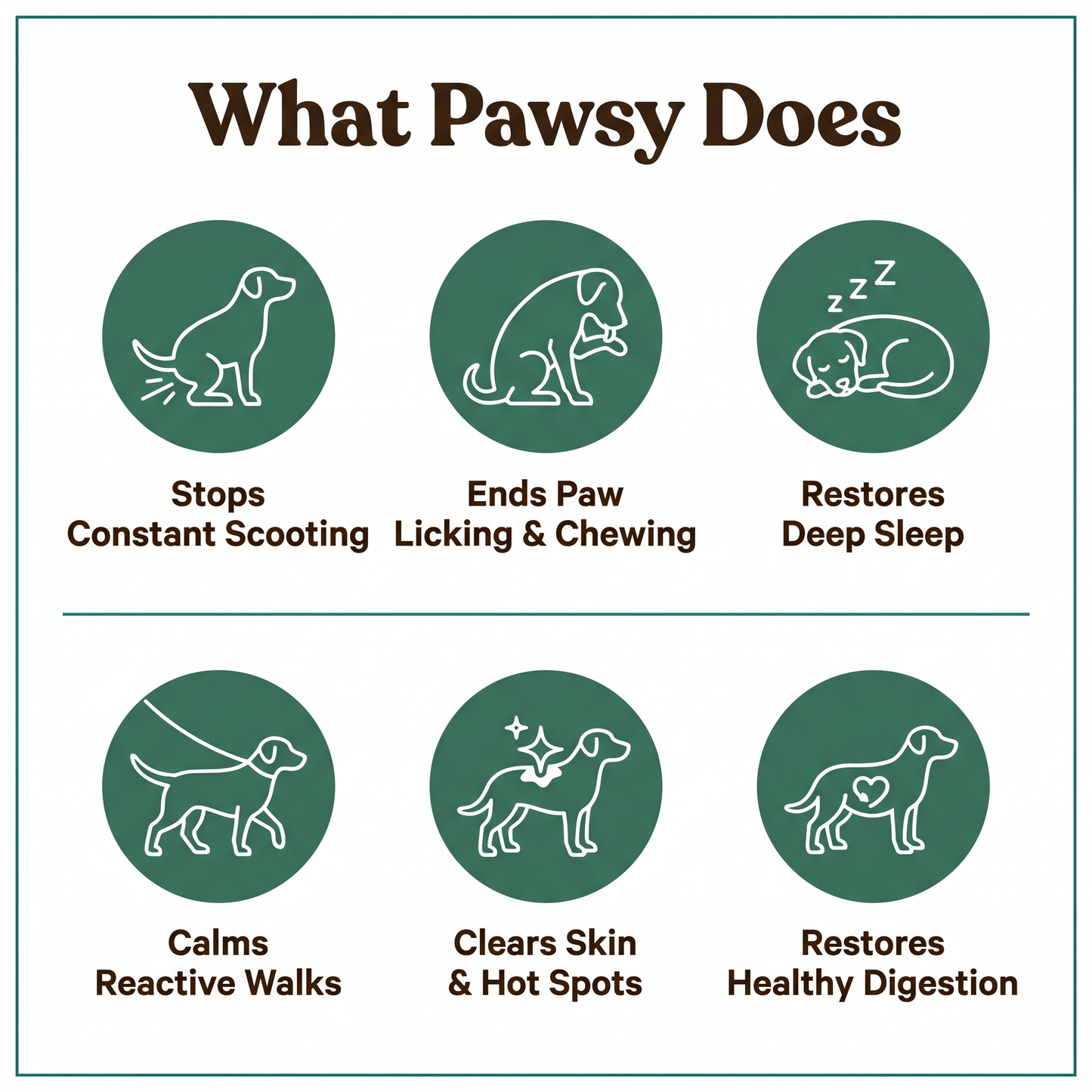 Pawsy™ - Parasite Cleanse Drops