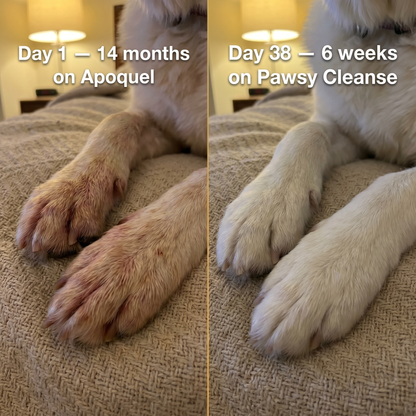 Pawsy™ - Parasite Cleanse Drops