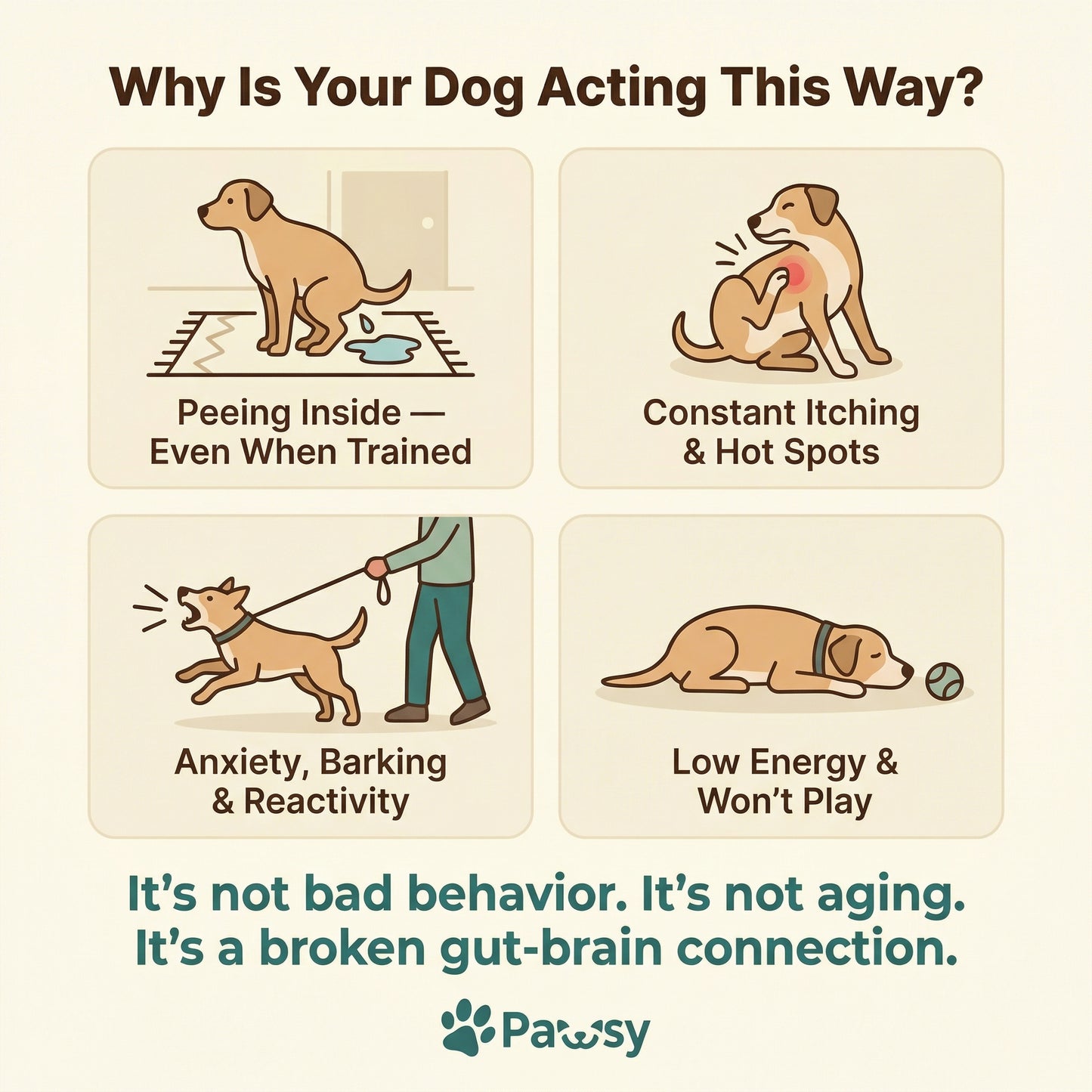 Pawsy™ Gut-Brain Calm Chews