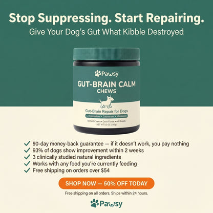 Pawsy™ Gut-Brain Calm Chews