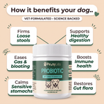 Probiotic soft chews for dogs and cats — key benefits