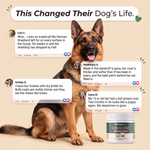 Customer reviews for PawsyLabs Skin & Coat soft chews