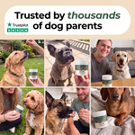 Dog owners using PawsyLabs Skin & Coat soft chews