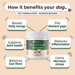 Multivitamin soft chews for dogs and cats — key benefits
