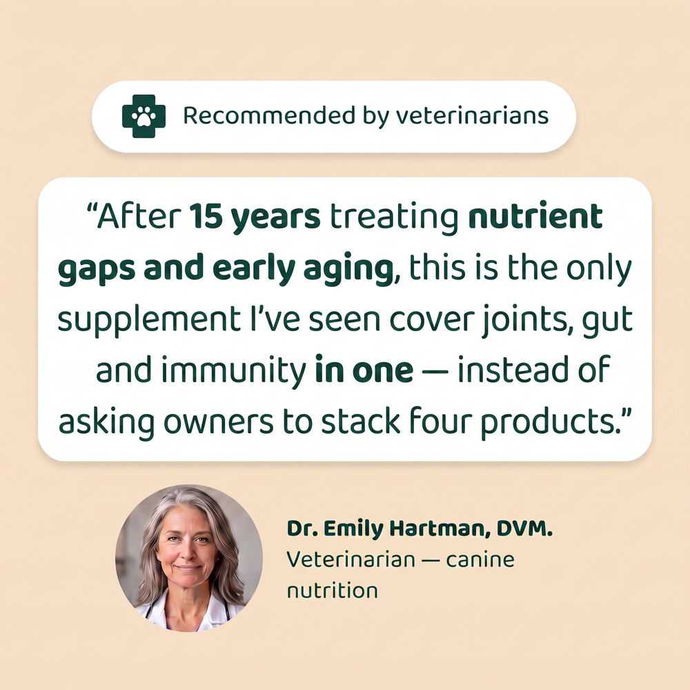 Veterinarian recommended multivitamin chews for dogs