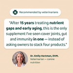 Veterinarian recommended multivitamin chews for dogs