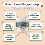 Calming Support soft chews for dogs and cats — key benefits