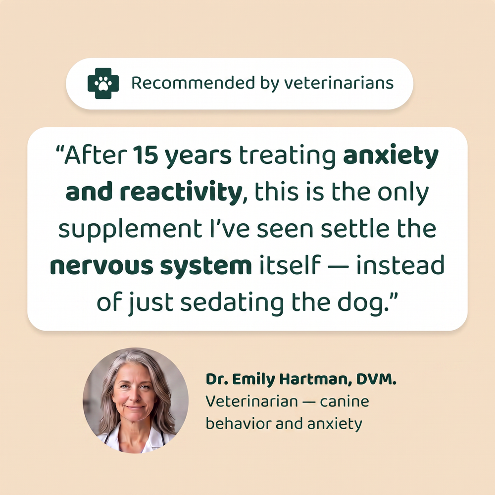 Veterinarian recommended calming chews for dogs