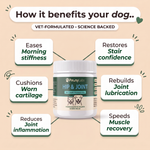 Hip & Joint soft chews for dogs and cats — key benefits