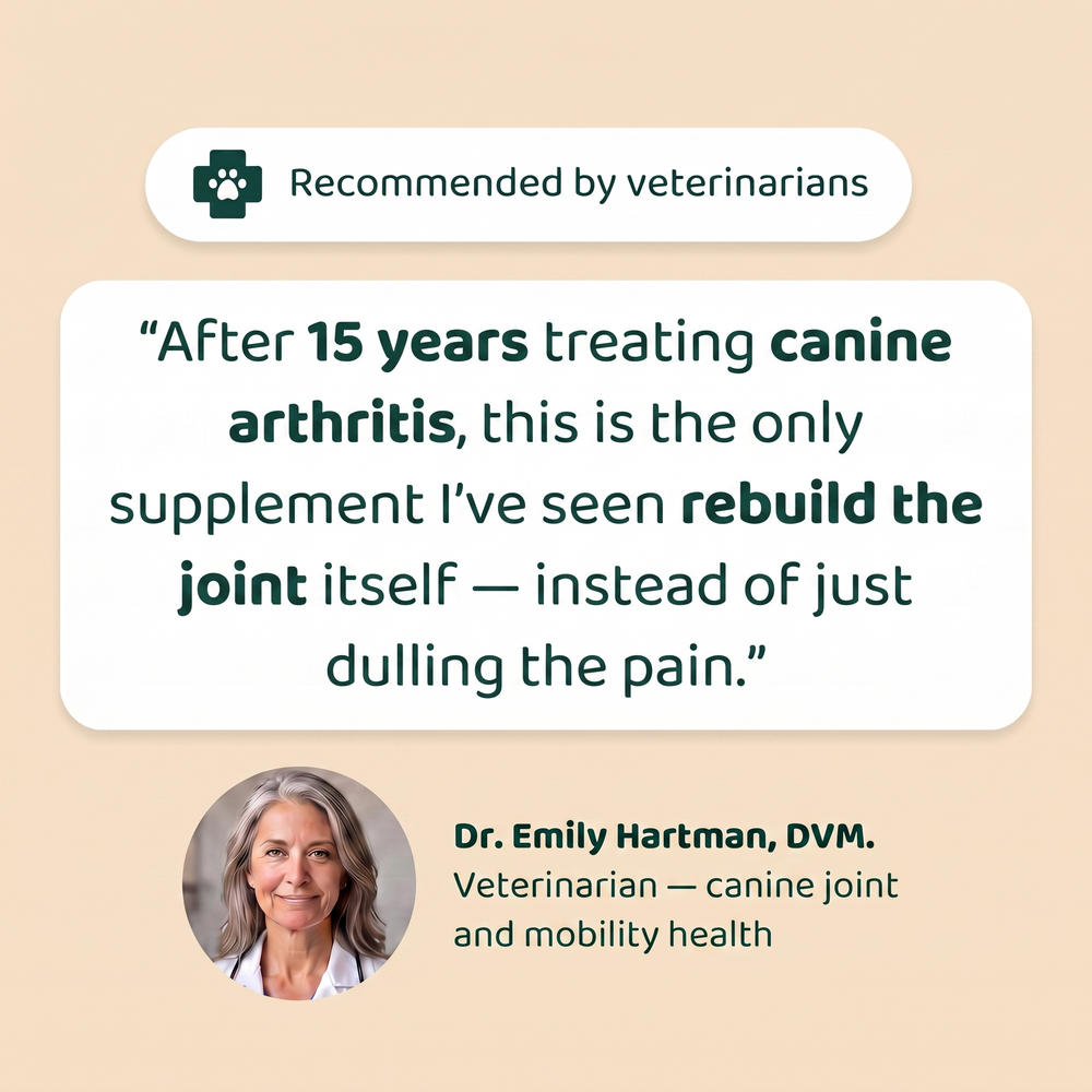 Veterinarian recommended hip and joint chews for dogs