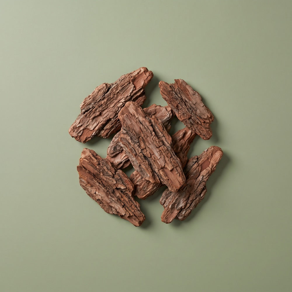 Pine Bark