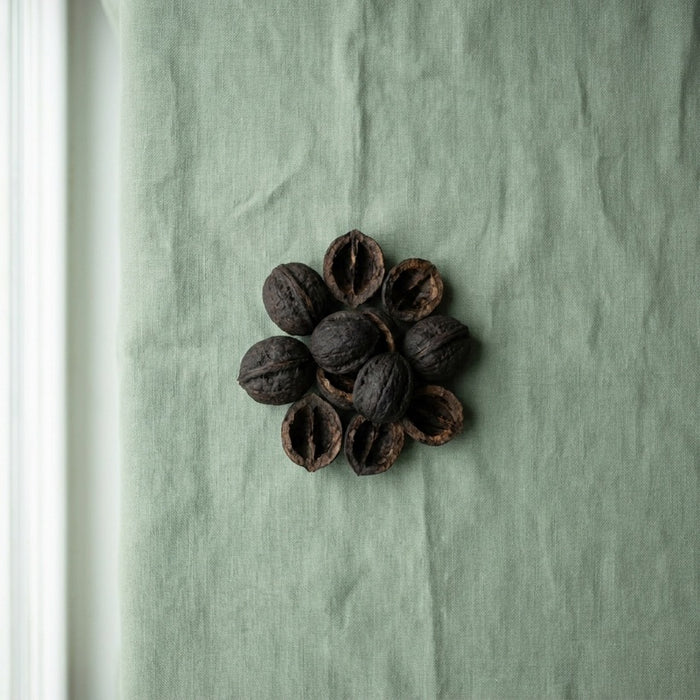 Black Walnut Hull
