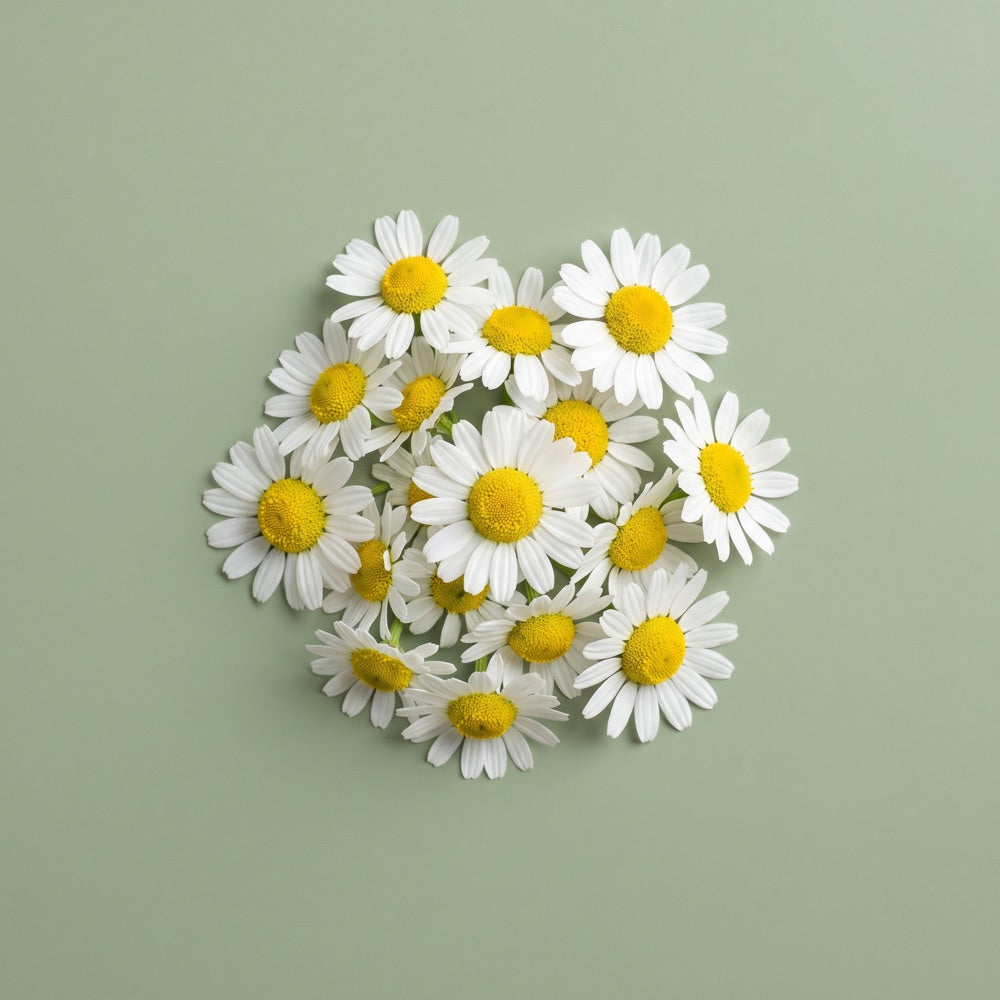 Chamomile