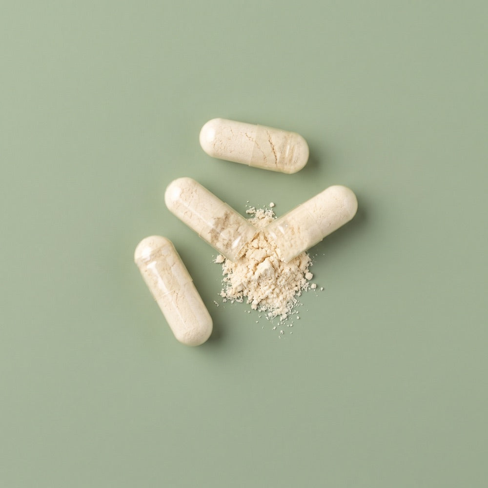 Digestive Enzymes