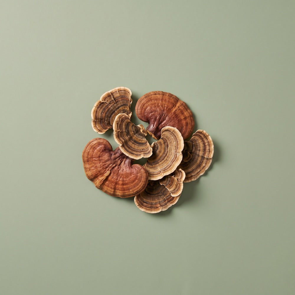 Mushroom Blend