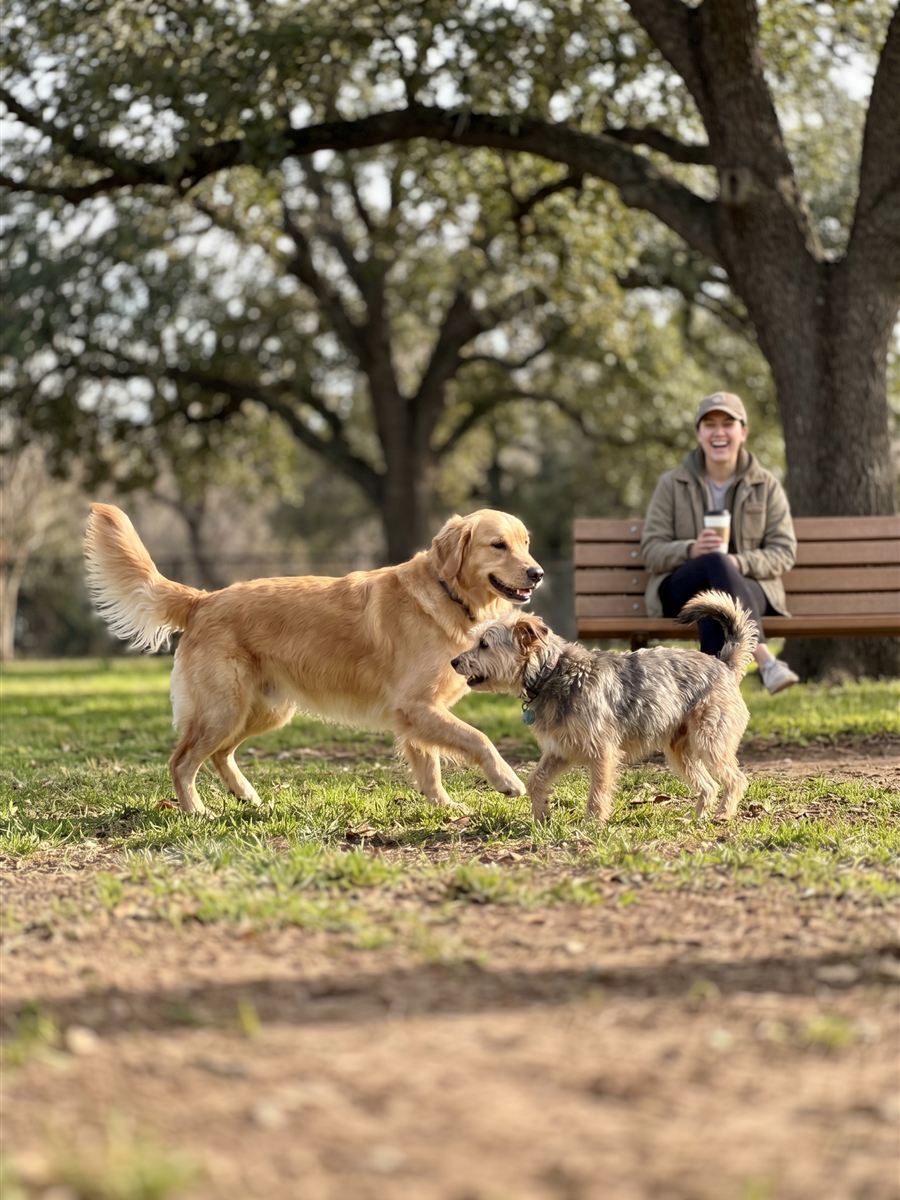Park days without the worry.